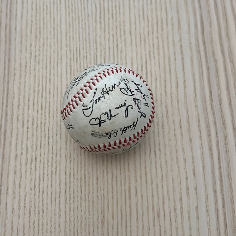 Minnesota Twins baseball stamped